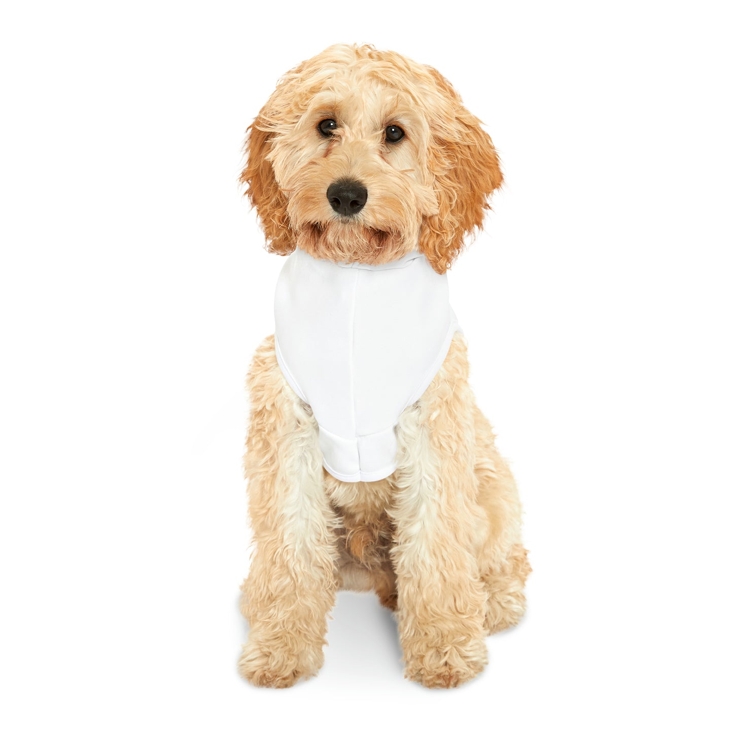 Affiliate ELITE Elite Trader Funding Pet Hoodie