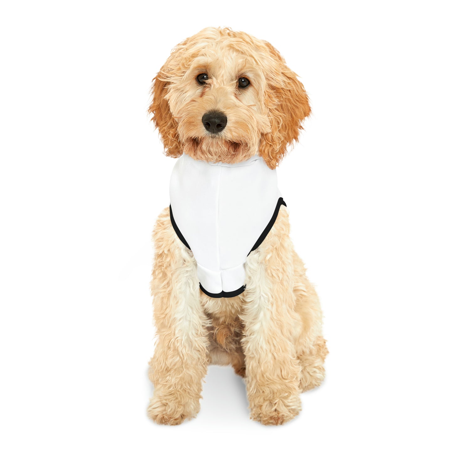 Affiliate ELITE Elite Trader Funding Pet Hoodie